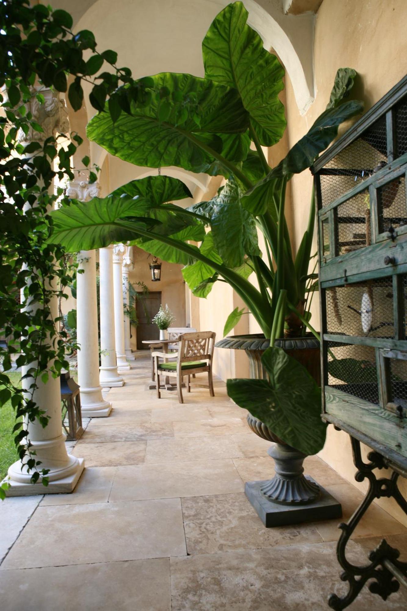 מלון נים Jardins Secrets מראה חיצוני תמונה
